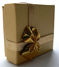 Pacchi regalo di natale